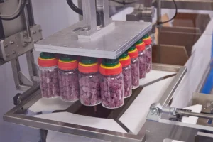 Gummies Packaging Line Case Packer