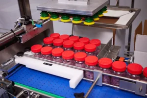 RELENTLESS-V Form Fill Seal Case Packer